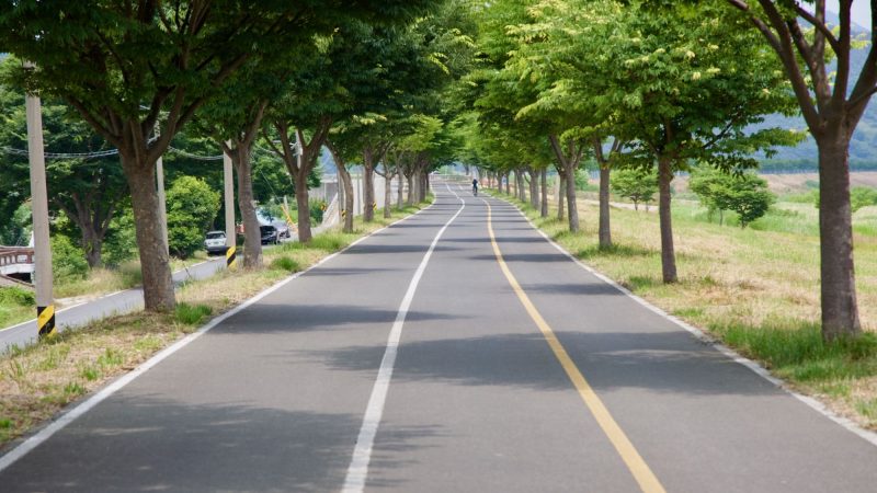 A picture of the Nakdonggang Bike Path (낙동강자전거길) along the Nakdong River (낙동강) near Hanam Town in Miryang City, South Korea.