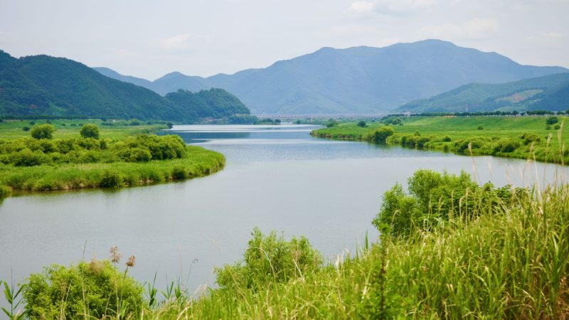 A picture of the Miryang River (밀양강) flowing into the Nakdong River (낙동강) Nakdonggang Bike Path (낙동강자전거길) in Miryang City, South Korea.
