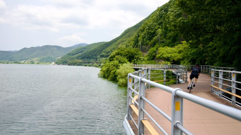 A picture of the boardwalk cycling paths along the Nakdonggang Bike Path (낙동강자전거길) in Samrangjin Town (삼랑진읍) along the Nakdong River (낙동강) in South Korea.
