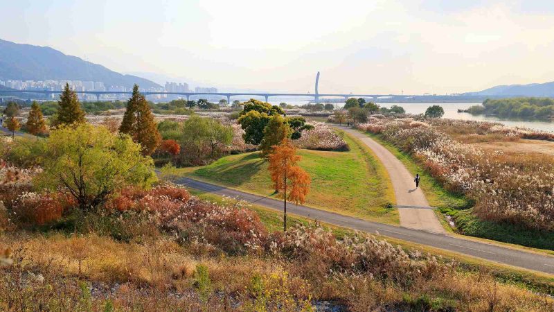 A picture of the Nakdonggang Bike Path (낙동강자전거길) along the Nakdong River in South Korea.