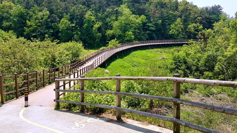 A picture of the Nakdonggang Bike Path (낙동강자전거길) along the Nakdong River in Dalseong Country, South Korea.