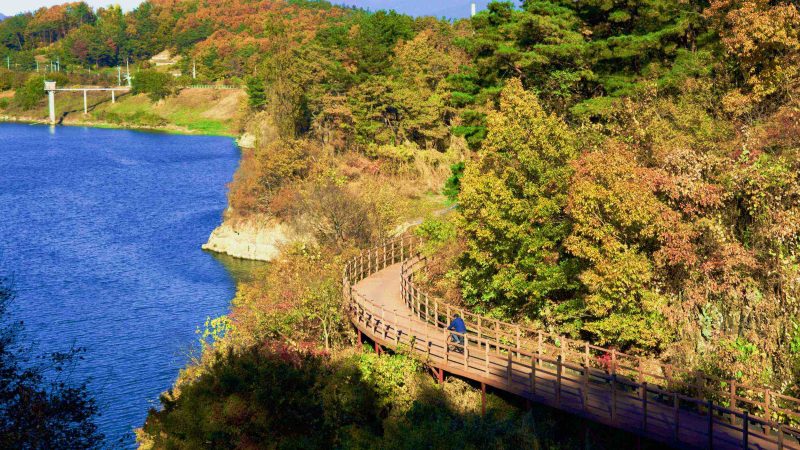 A picture of the Nakdonggang Bike Path (낙동강자전거길) along the Nakdong River in Dalseong Country, South Korea.