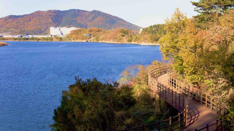 A picture of the Nakdonggang Bike Path (낙동강자전거길) along the Nakdong River in Dalseong Country, South Korea.