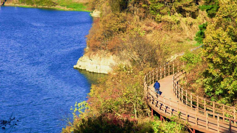 A picture of the Nakdonggang Bike Path (낙동강자전거길) along the Nakdong River in Dalseong Country, South Korea.