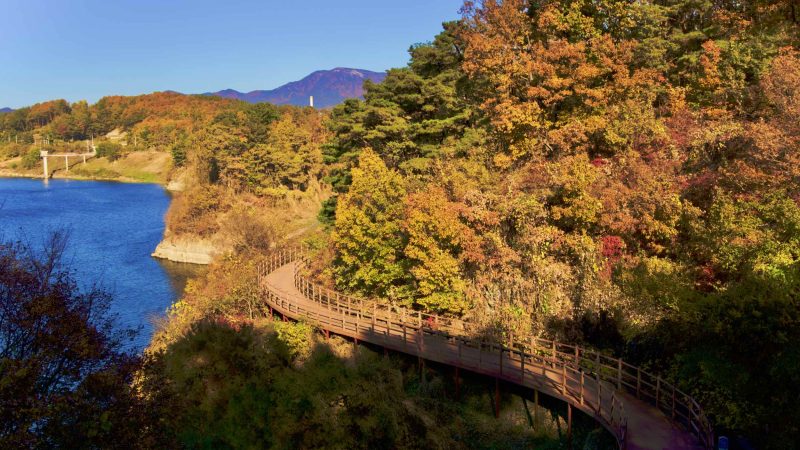 A picture of the Nakdonggang Bike Path (낙동강자전거길) along the Nakdong River in Dalseong Country, South Korea.