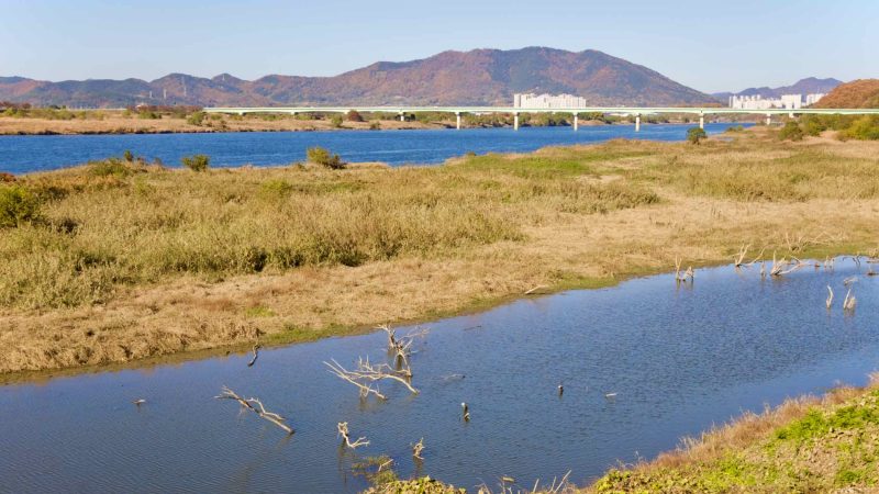 A picture of the Nakdong River on the Nakdonggang Bike Path (낙동강자전거길) in Dalseong County, South Korea.