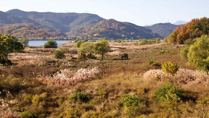 Nakdonggang Bike Path - Daegu Changnyeong - Dalseong County Riverside and Foilage