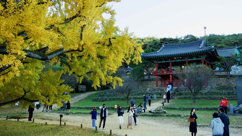 A picture of the front gate of Dodong Seowon Confucian Academy (도동서원) in Dalseong County, South Korea.