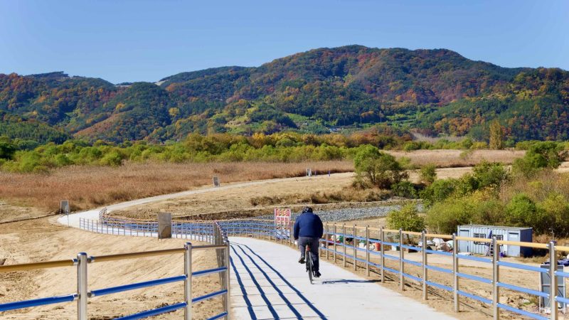 A picture of the Nakdonggang Bike Path (낙동강자전거길) in Changnyeong County, South Korea.