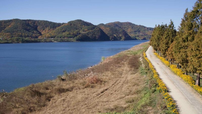A picture of a riverside park in Namji Town along the Nakdong River in Changnyeong County.