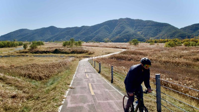 A picture of the Nakdonggang Bike Path (낙동강자전거길) in Changnyeong County, South Korea.