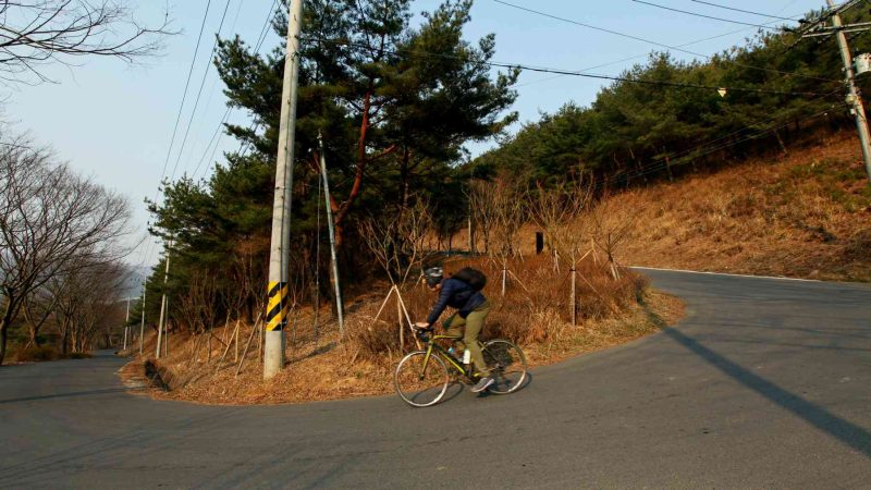 A picture of the Nakdonggang Bike Path (낙동강자전거길) along the Nakdong River in South Korea.