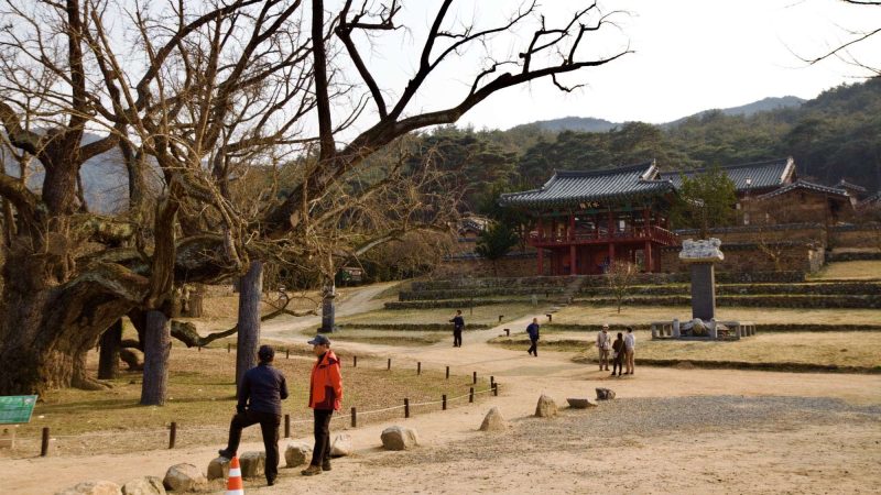 A picture of Dodong Seowon Confucian Academy (도동서원) in Dalseong County, South Korea.