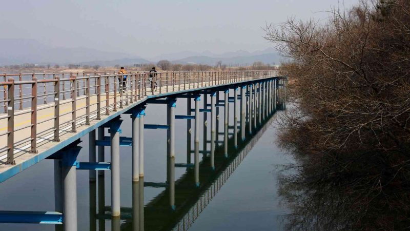 A picture of raised boardwalk bike paths over the Nakdong River along the Nakdonggang Bike Path (낙동강자전거길) near Gumi City in South Korea.