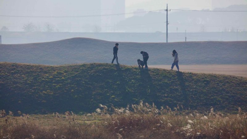Visitors walks along the grassy embankments of Jeongbukdong Toseong Fortress.
