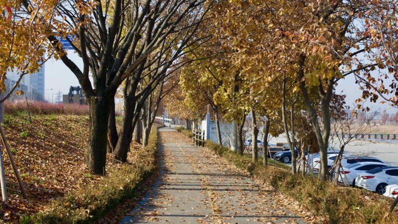 riverside path
