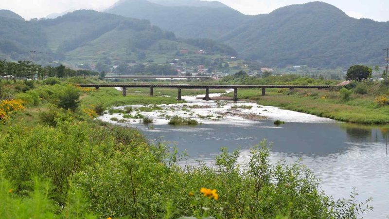 Ocheon Bike Path - Goesan Jeungpyeong - Profile Picture
