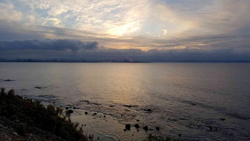 (Pohang) Pohang ⟷ Homigot Sunset Water Pollution