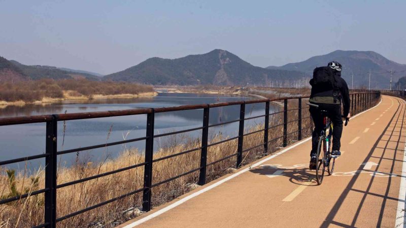 Protected bike lanes sail along the Yeong River just before it flows in the Nakdonggang River, the longest in South Korea.