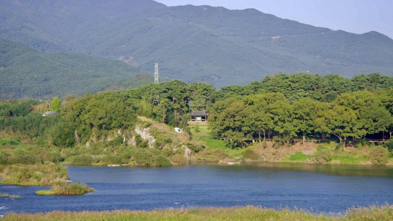 A traditional Korean pavilion nestled among green trees on a hillside.