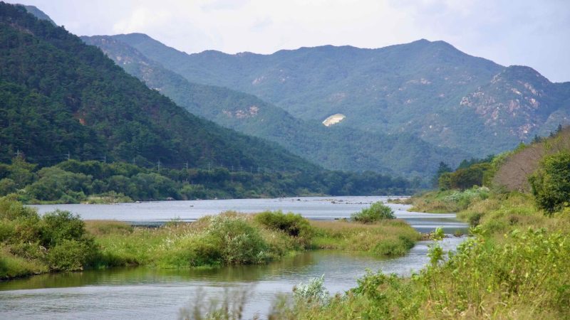 untouched nature