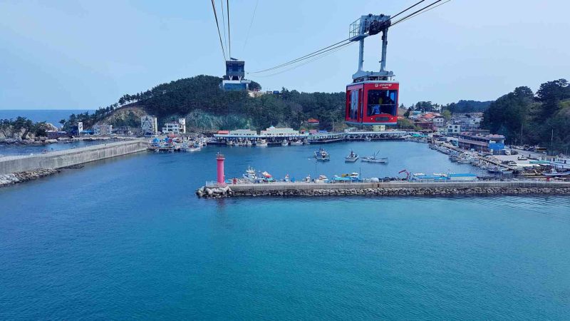 Glide above Samcheok's coastline in the Marine Cable Car, connecting natural beauty and adventure.
