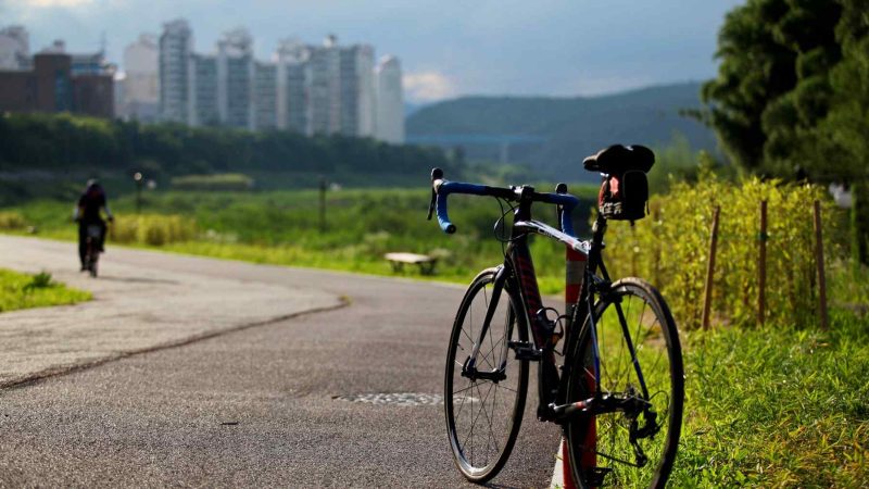 Ulsan-Taehwagang-Bike-Path-Rider-1