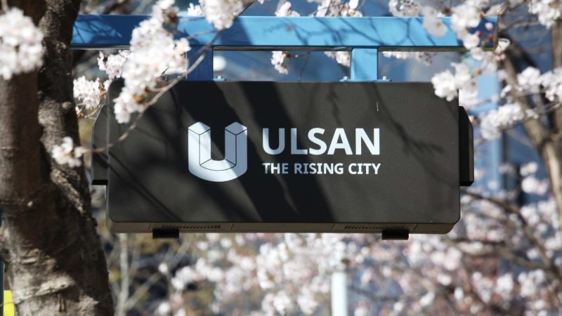 Ulsan-Taehwagang-Sign-Blossoms-1