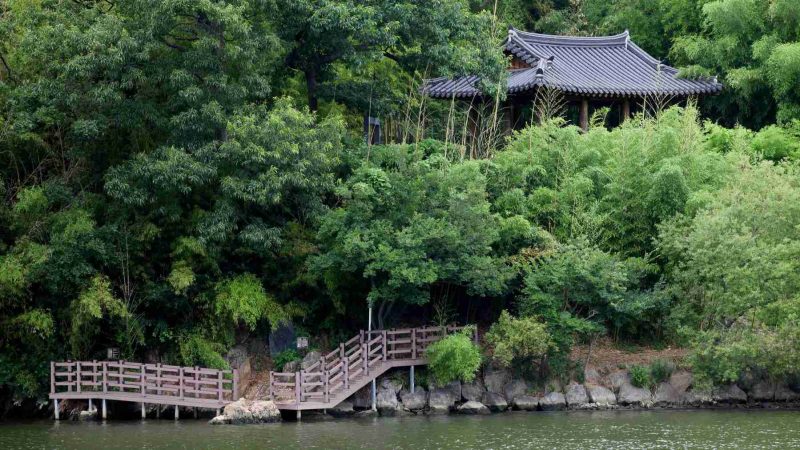 Ulsan-Taehwagang-Taehwa-Park-3-1