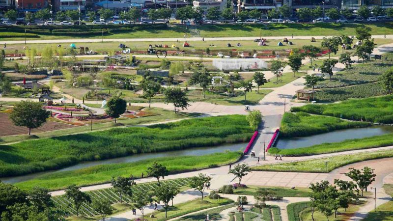 Ulsan-Taehwagang-Taehwa-Park-8-1