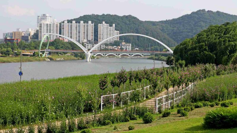 A picture of Taehwa Park in Ulsan, South Korea.