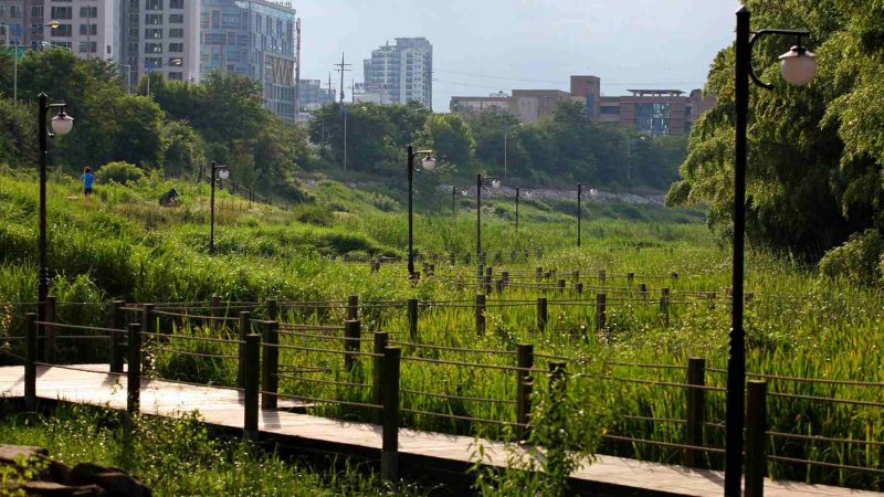 Ulsan-Taehwagang-Ulsan-Lamp-Posts-1