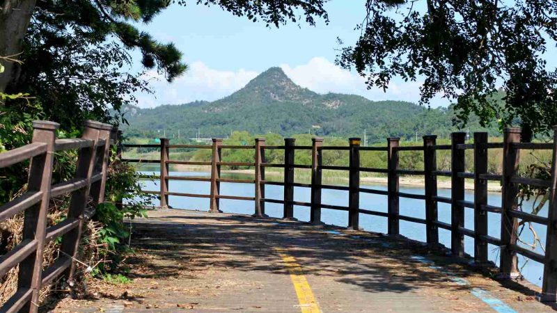 A tree-lined wooden bridge along the Yeongsangang Bike Path.