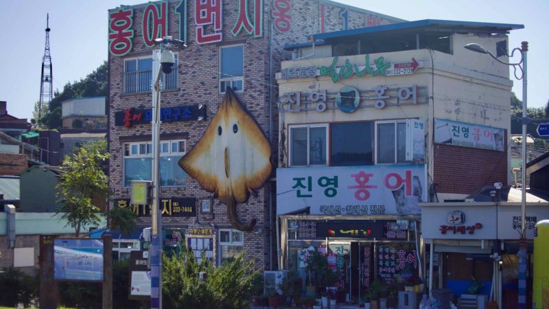 View of Hongeo Street, known for restaurants specializing in fermented skate (hongeo-hoe).
