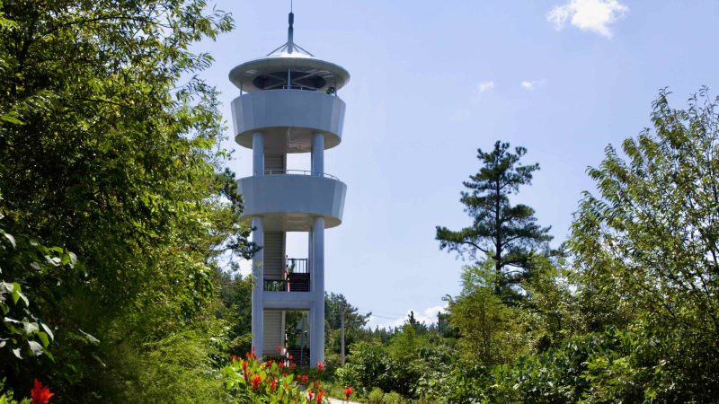 Neureoji Observation Center along the Yeongsangang Bike Path offers panoramic river views.