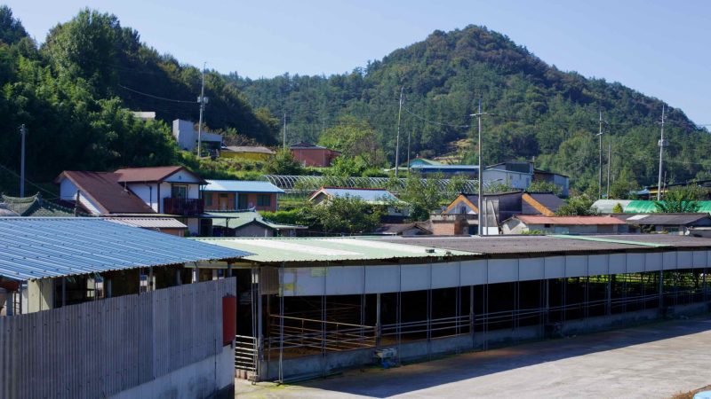 A rural village nestles at a mountain’s base beside a livestock farm.