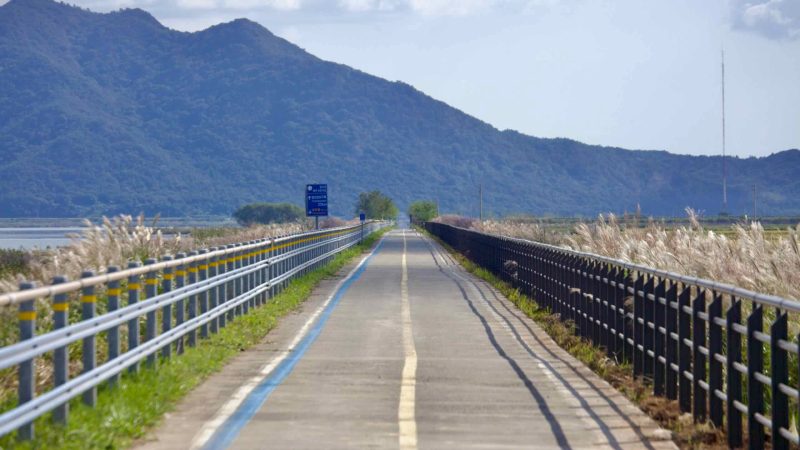 A long, straight section of the Yeongsangang Bike Path stretches toward a tree-lined horizon
